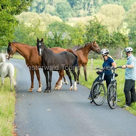 Casita - Sterneferienhaus Mit Garten, Sauna Und Wallbox